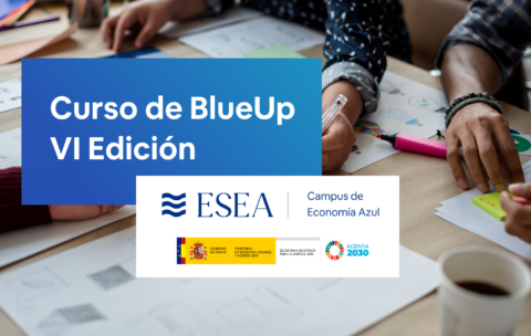 CURSO BLUEUP